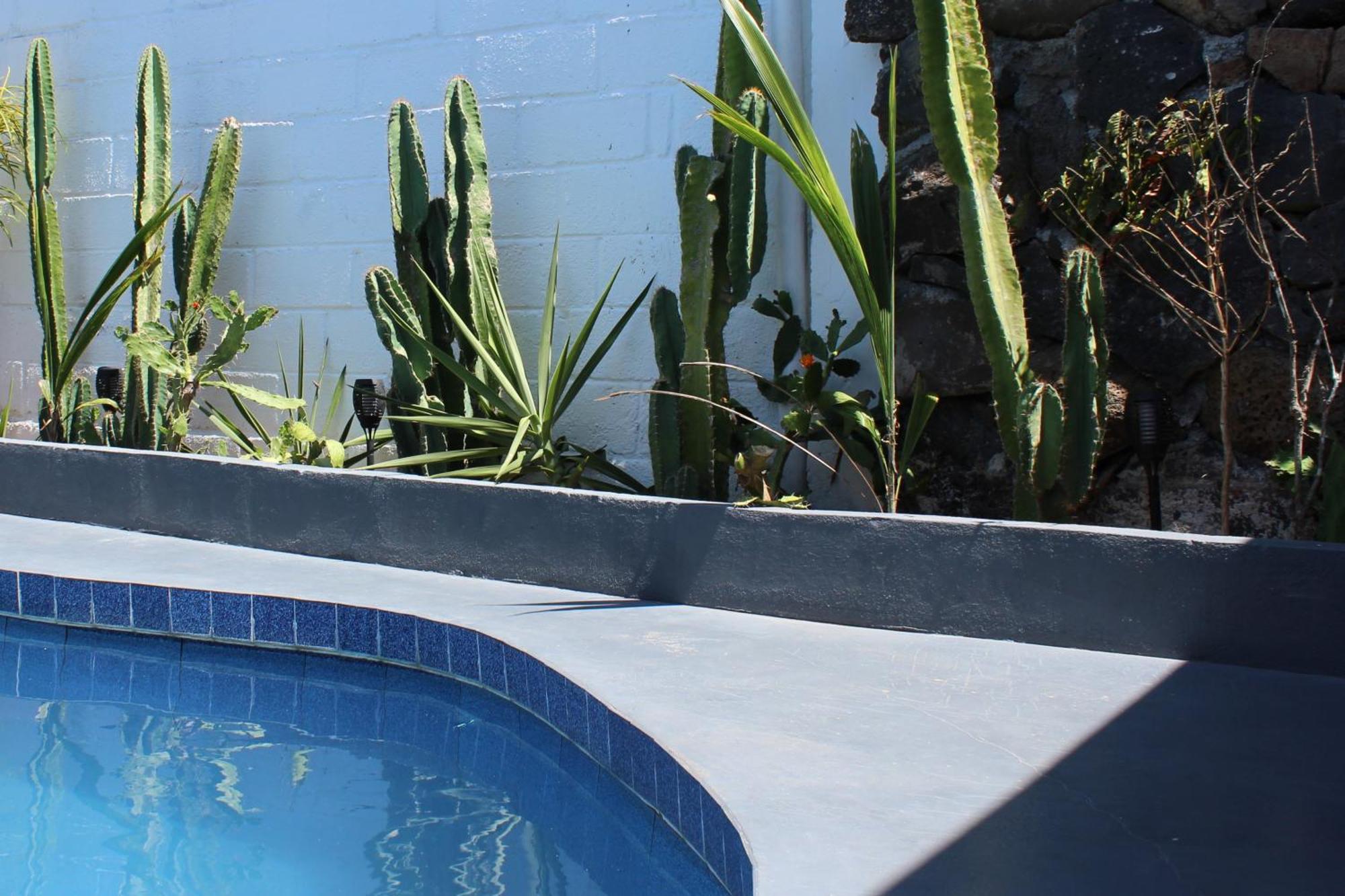 Hostal Pimampiro Puerto Baquerizo Moreno Bagian luar foto